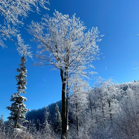 Zaroowka Slow House בית נופש *