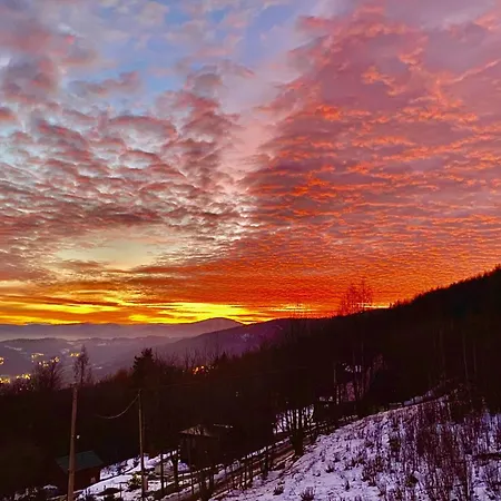 Zaroowka Slow House * מידז'יברודז'י ז'יוויקי