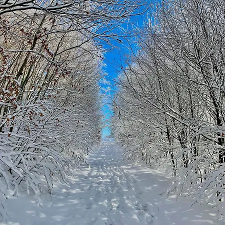 Zaroowka Slow House بيت للعطل