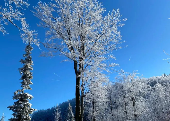 Zaroowka Slow House בית נופש *