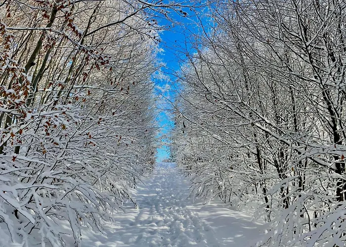 Zaroowka Slow House בית נופש